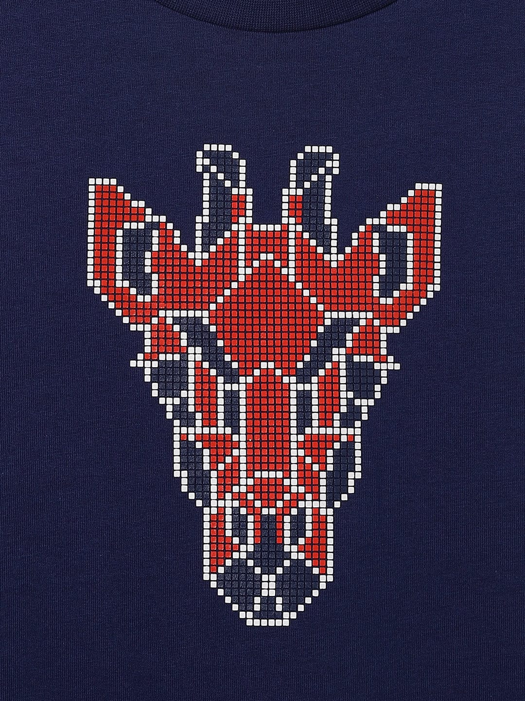 Blue Giraffe Kids Blue Color Block Crew Neck Tshirt