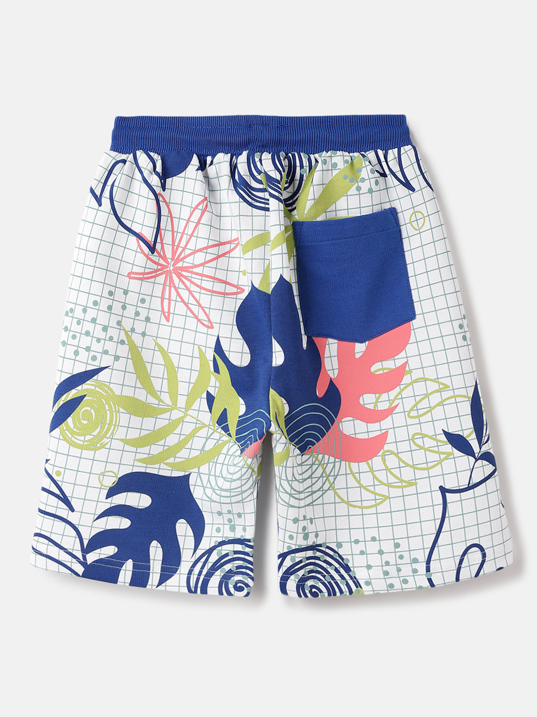Blue Giraffe Kids Multi Regular Fit Printed Shorts
