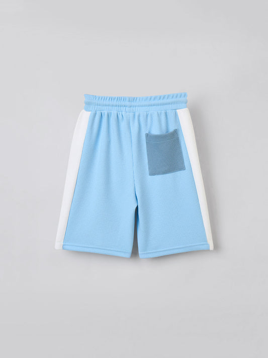 Blue Giraffe Boys Multicolor Regular Fit Textured Shorts