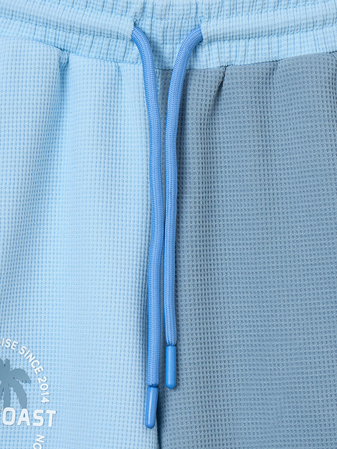 Blue Giraffe Boys Multicolor Regular Fit Textured Shorts