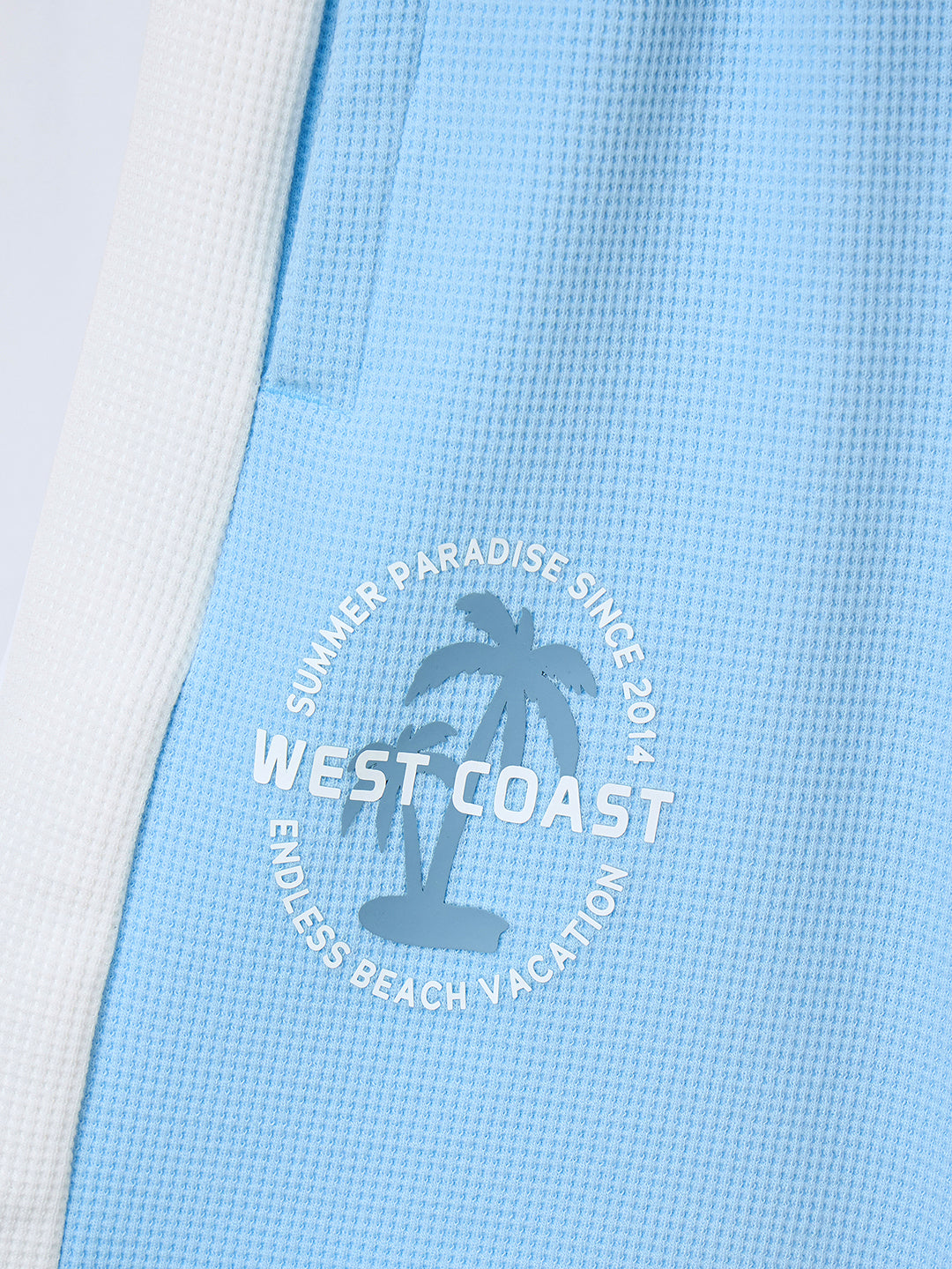 Blue Giraffe Boys Multicolor Regular Fit Textured Shorts