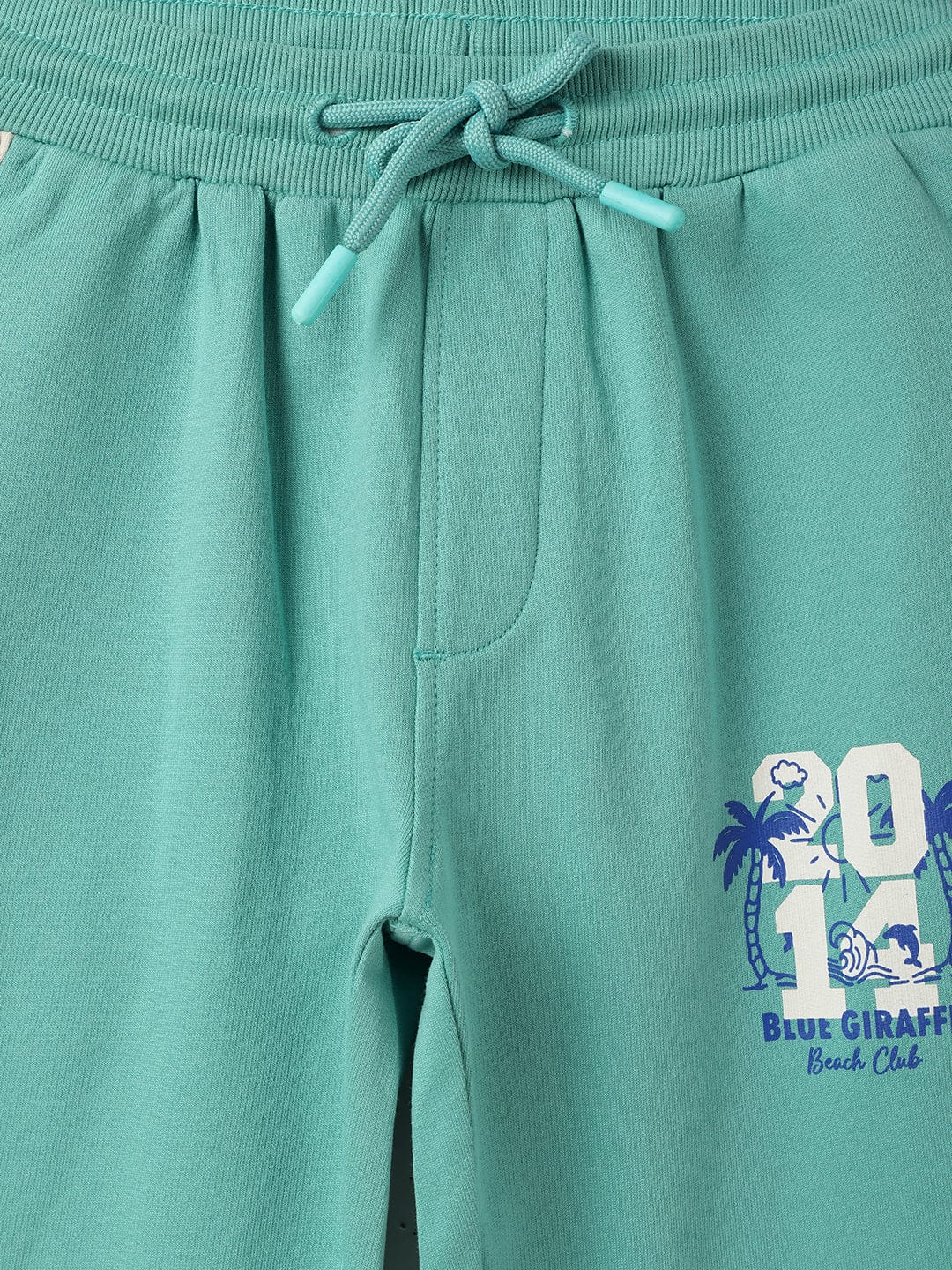 Blue Giraffe Boys Green Regular Fit Solid Jogger