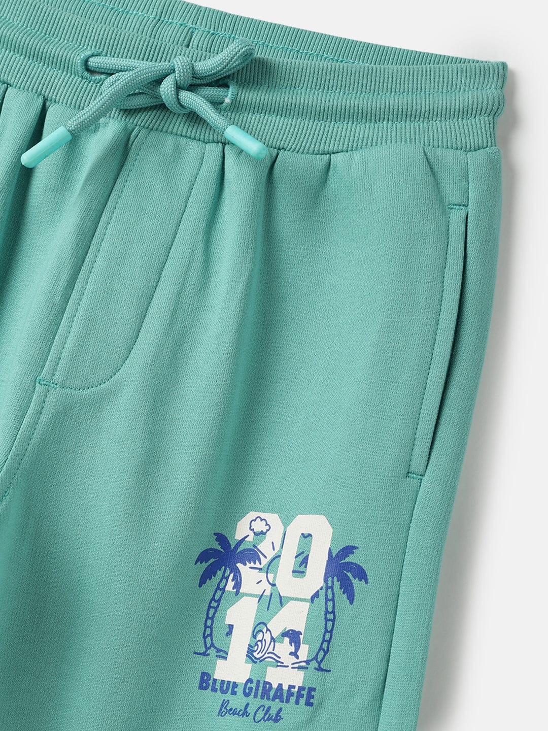 Blue Giraffe Boys Green Regular Fit Solid Jogger