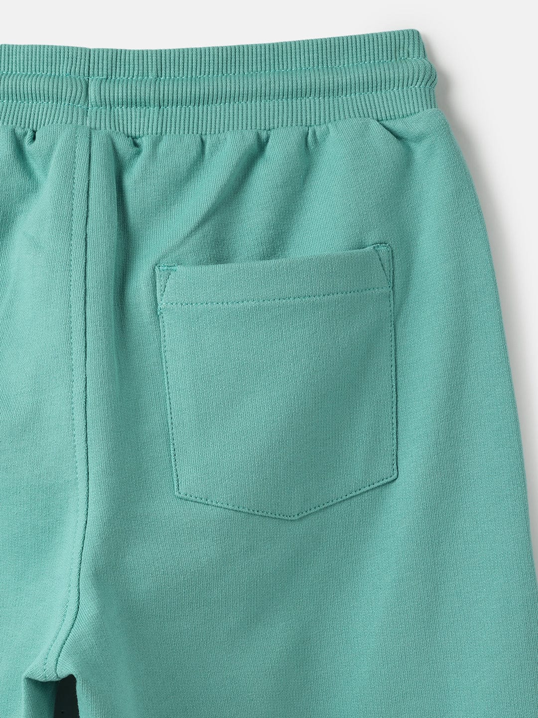 Blue Giraffe Boys Green Regular Fit Solid Jogger