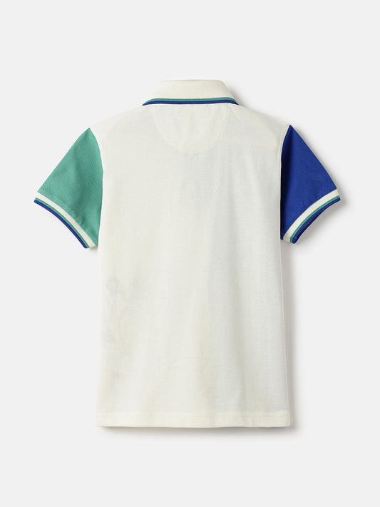 Blue Giraffe Boys Multi Solid Polo Tshirt