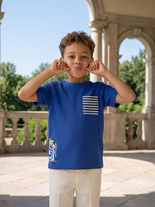 Blue Giraffe Boys Blue Solid Crew Neck Tshirt