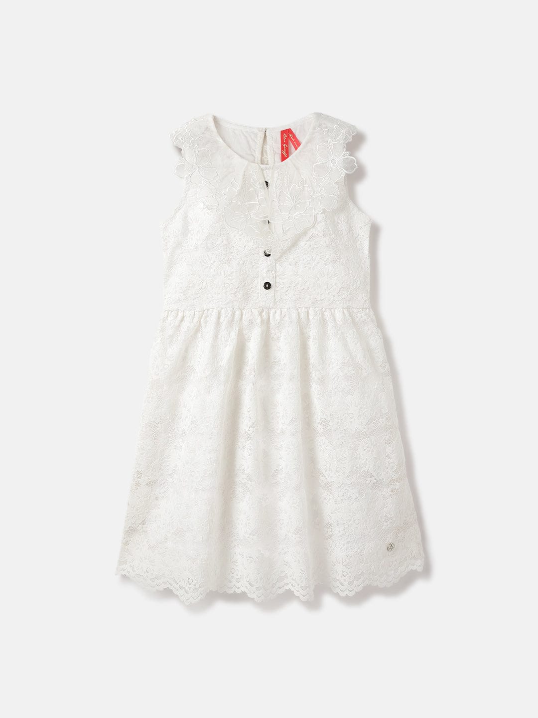 Blue Giraffe Kids White Solid Collar Dress