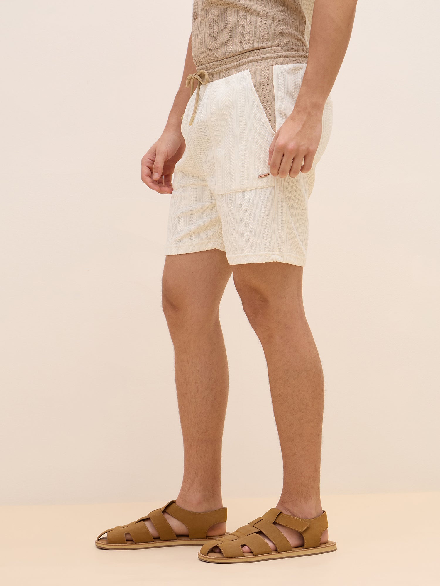 Iconic Men Beige Regular Fit Color Block Shorts