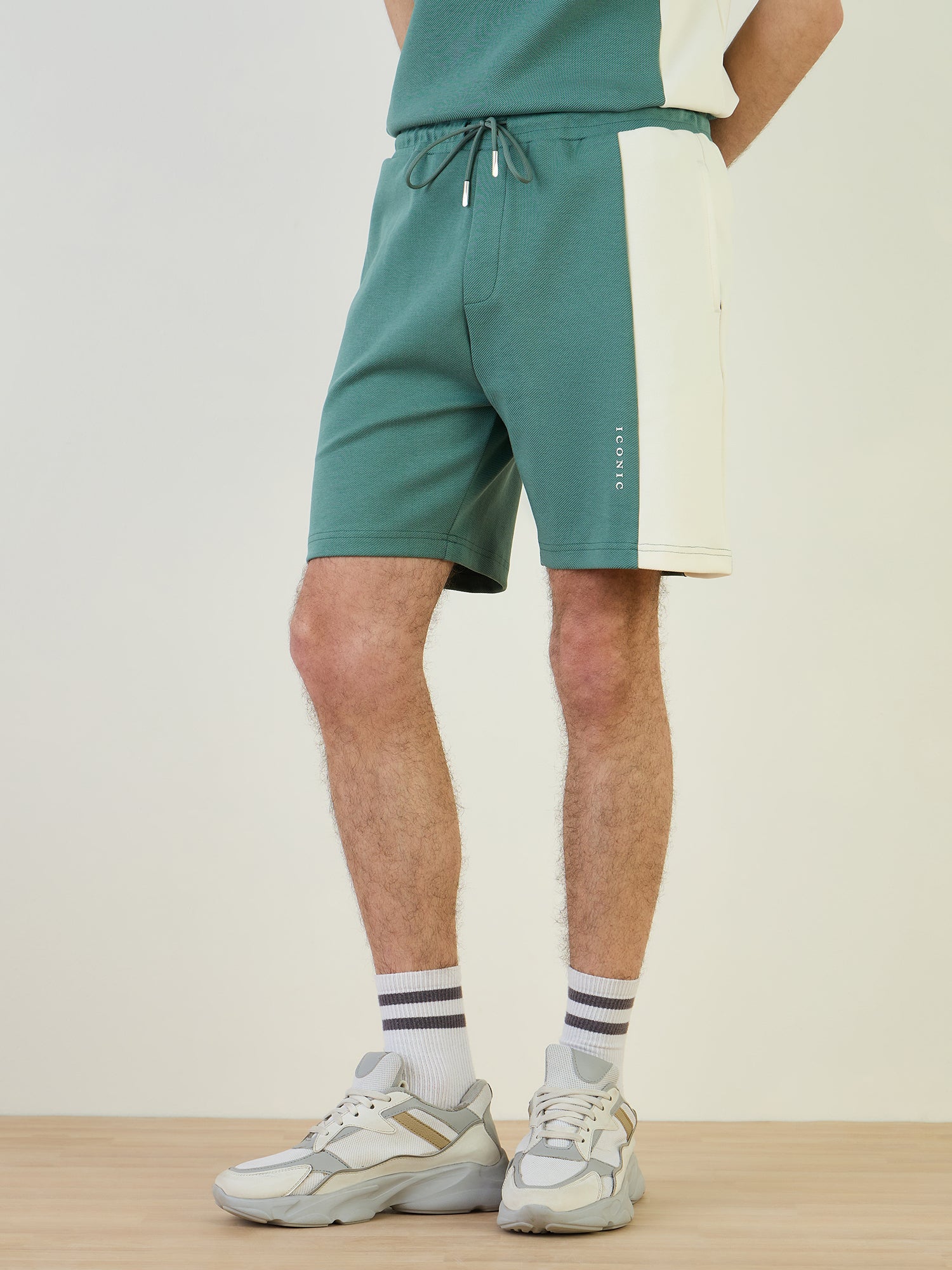 Iconic Men Green Regular Fit Color Block Shorts