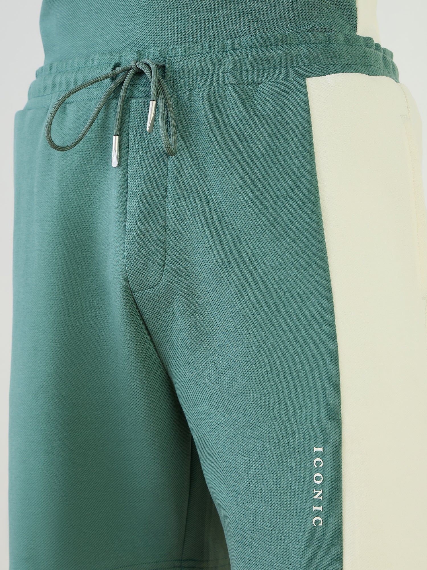 Iconic Men Green Regular Fit Color Block Shorts
