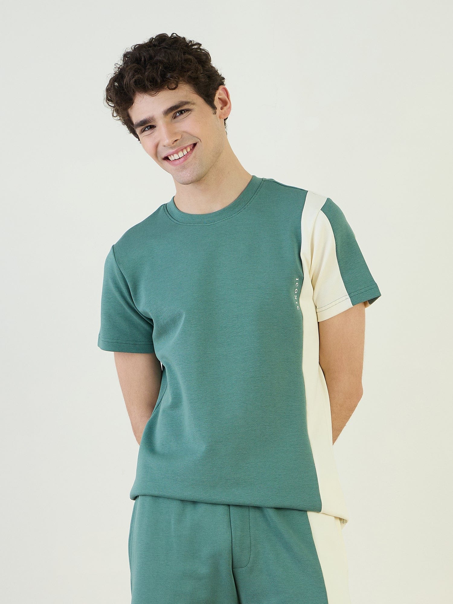 Iconic Men Green Color Block Crew Neck TShirt