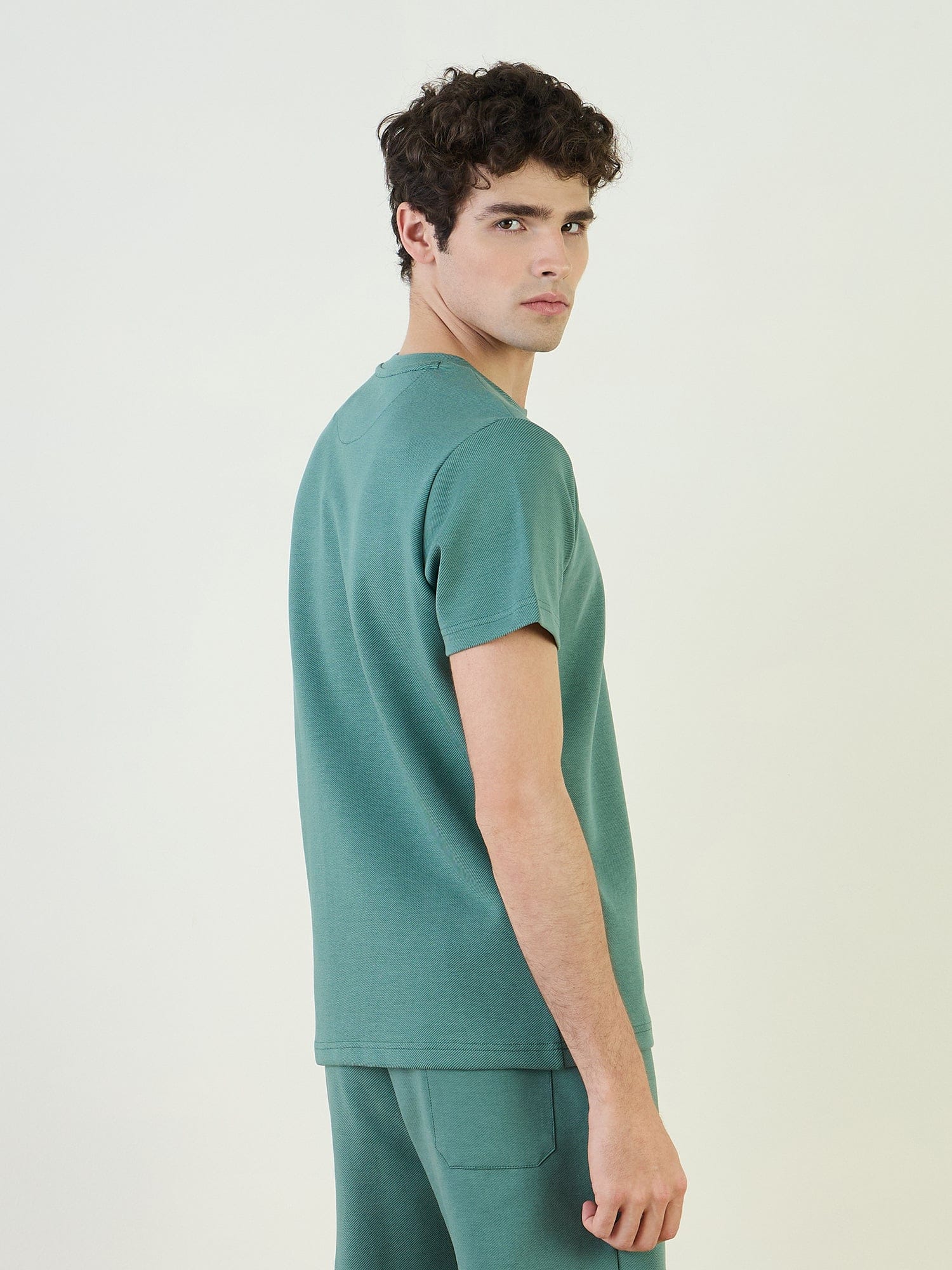 Iconic Men Green Color Block Crew Neck TShirt