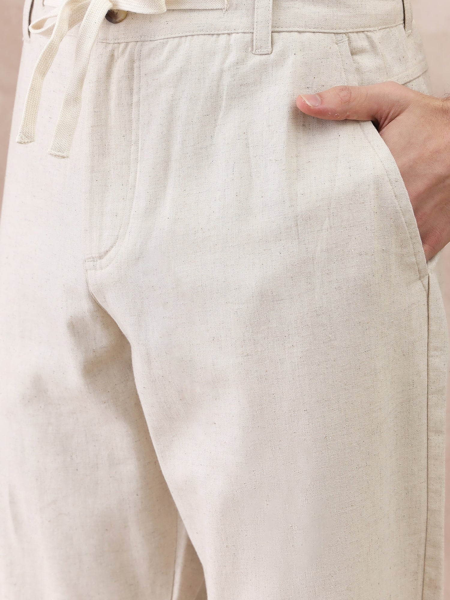 Iconic Men Beige Regular Fit Textured Trouser