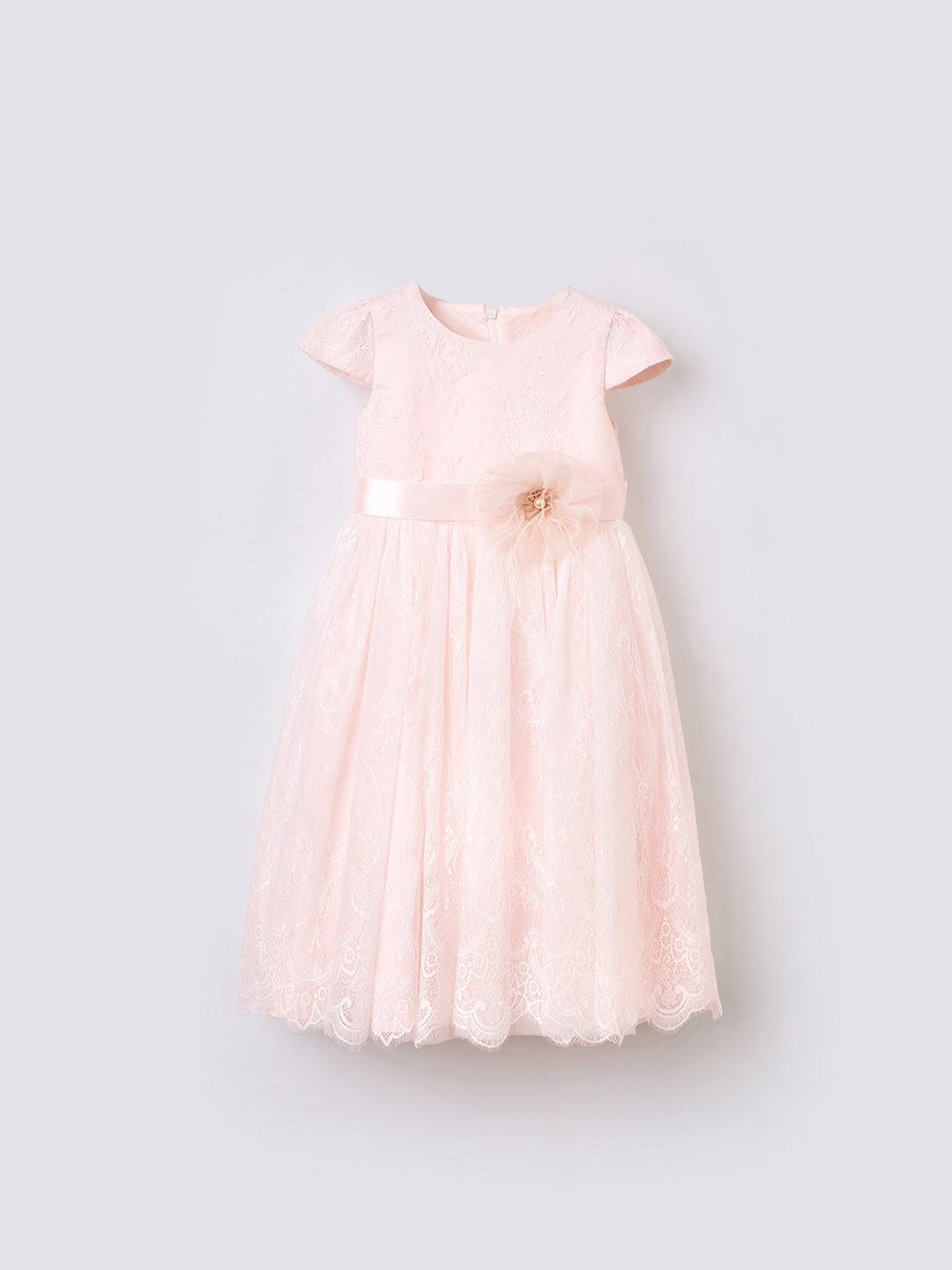 Blue Giraffe Girls Pink Solid Round Neck Dress