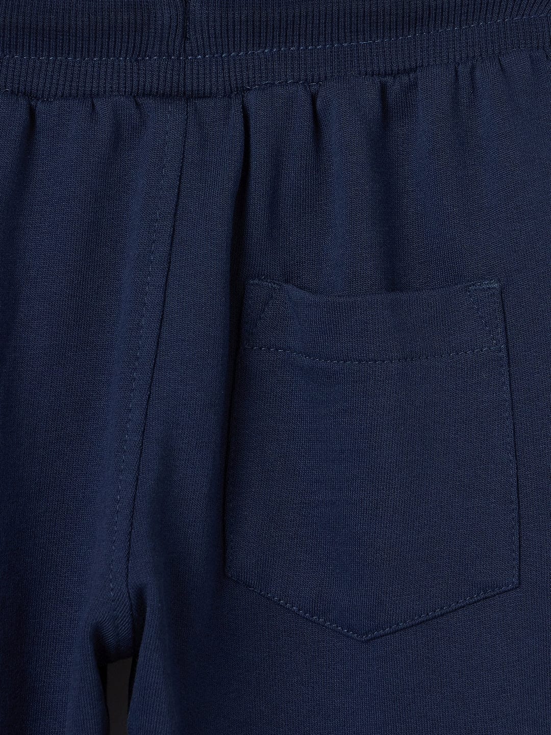 Blue Giraffe Boys Blue Jogger