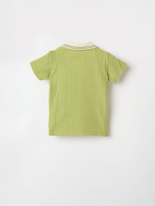Blue Giraffe Boys Green Solid Polo Tshirt