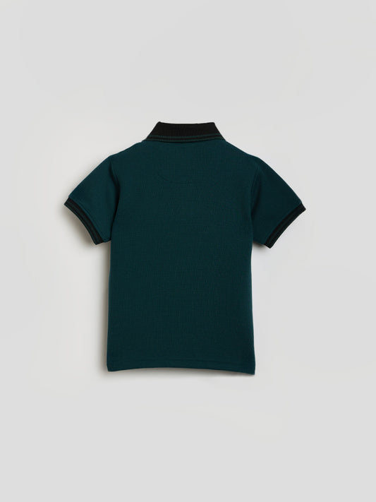 Blue Giraffe Boys Green Knitted Polo Tshirt