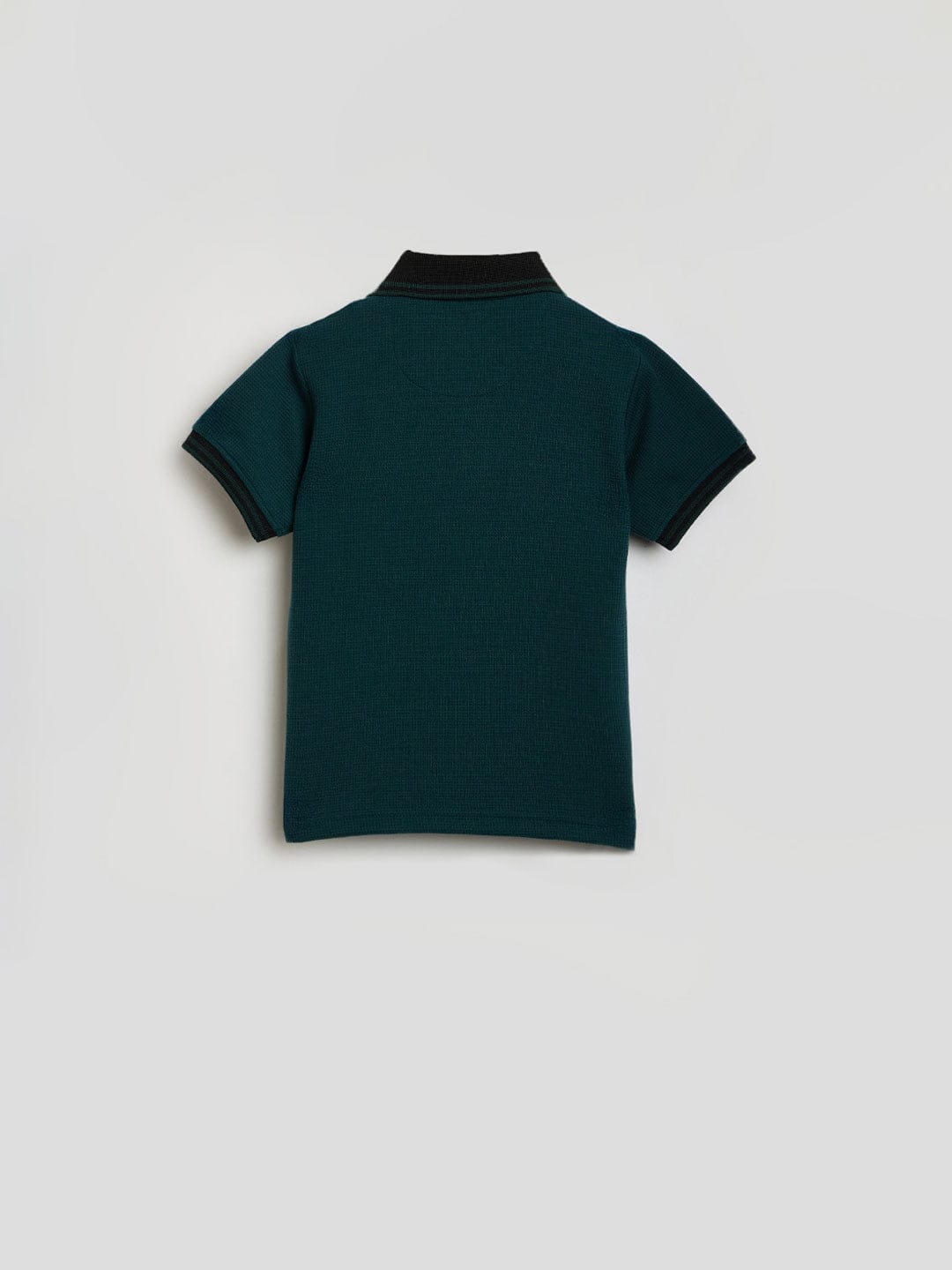 Blue Giraffe Boys Green Knitted Polo Tshirt