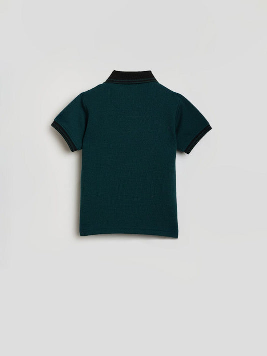 Blue Giraffe Boys Green Knitted Polo Tshirt