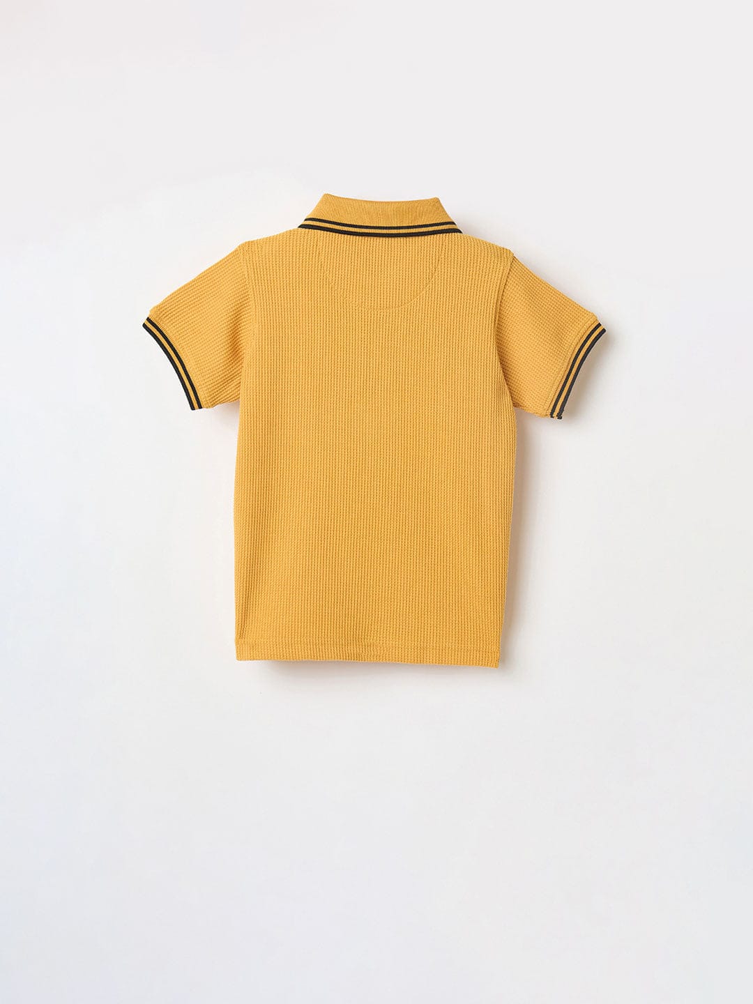 Blue Giraffe Boys Green Knitted Polo Tshirt