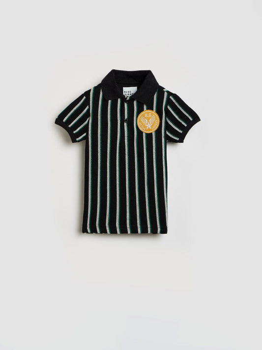 Blue Giraffe Boys Multicolor Striped Polo Tshirt