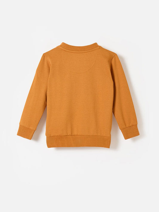 Blue Giraffe Boys Yellow Knitted Round Neck Sweatshirt