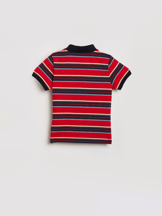 Blue Giraffe Boys Multicolor Striped Polo Tshirt