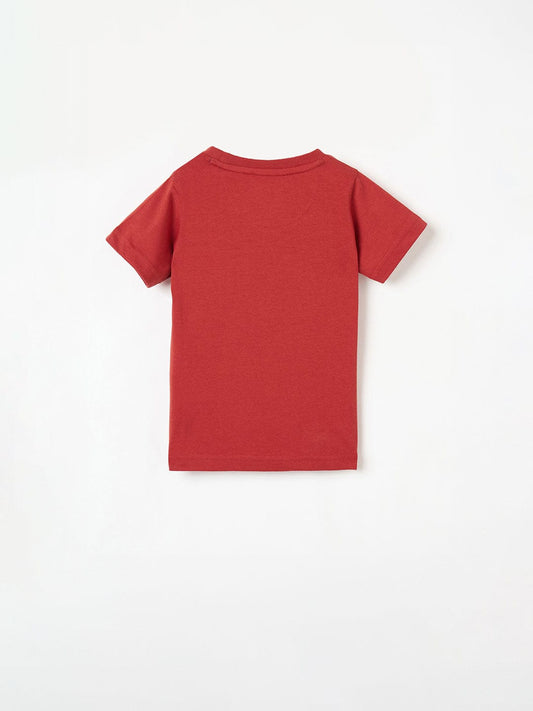 Blue Giraffe Boys White Graphic Round Neck Tshirt