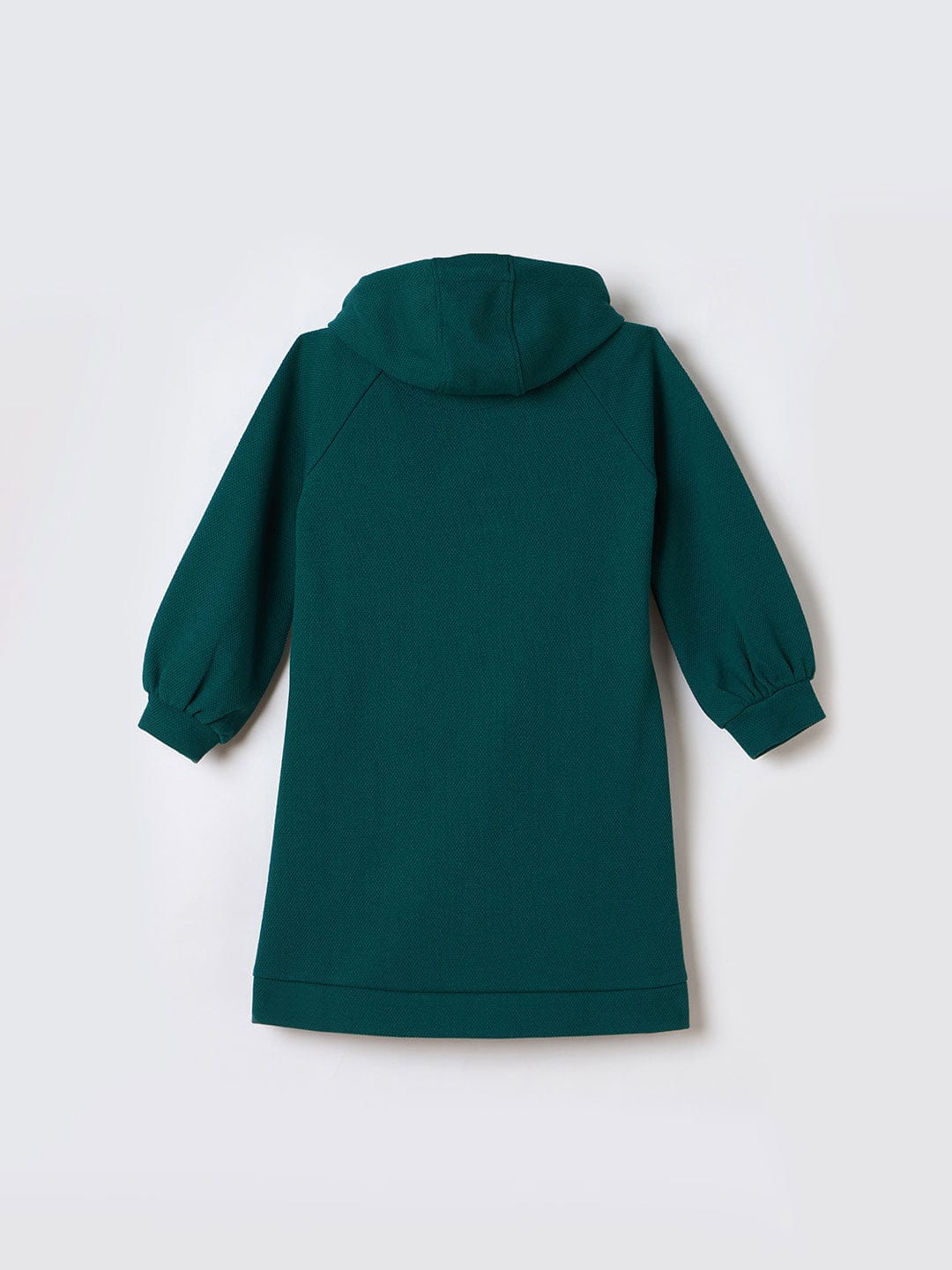 Blue Giraffe Girls Green Graphic Round Neck Dress