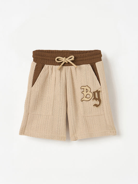 Blue Giraffe Boys Multi Regular Fit Textured Shorts