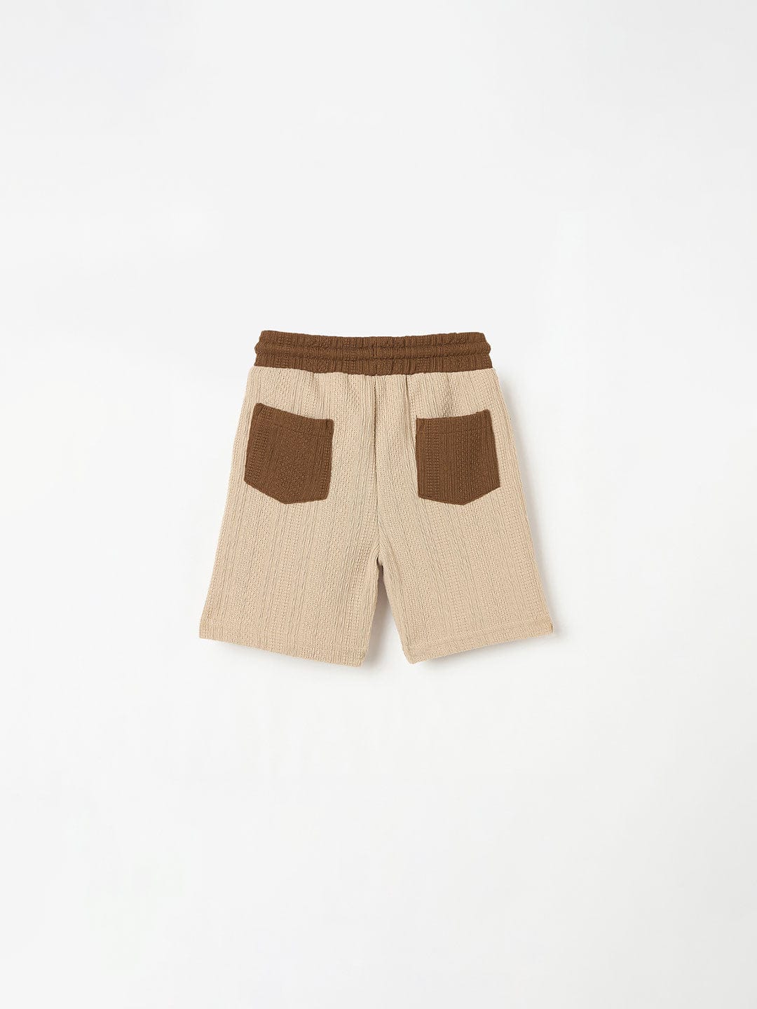 Blue Giraffe Boys Multi Regular Fit Textured Shorts