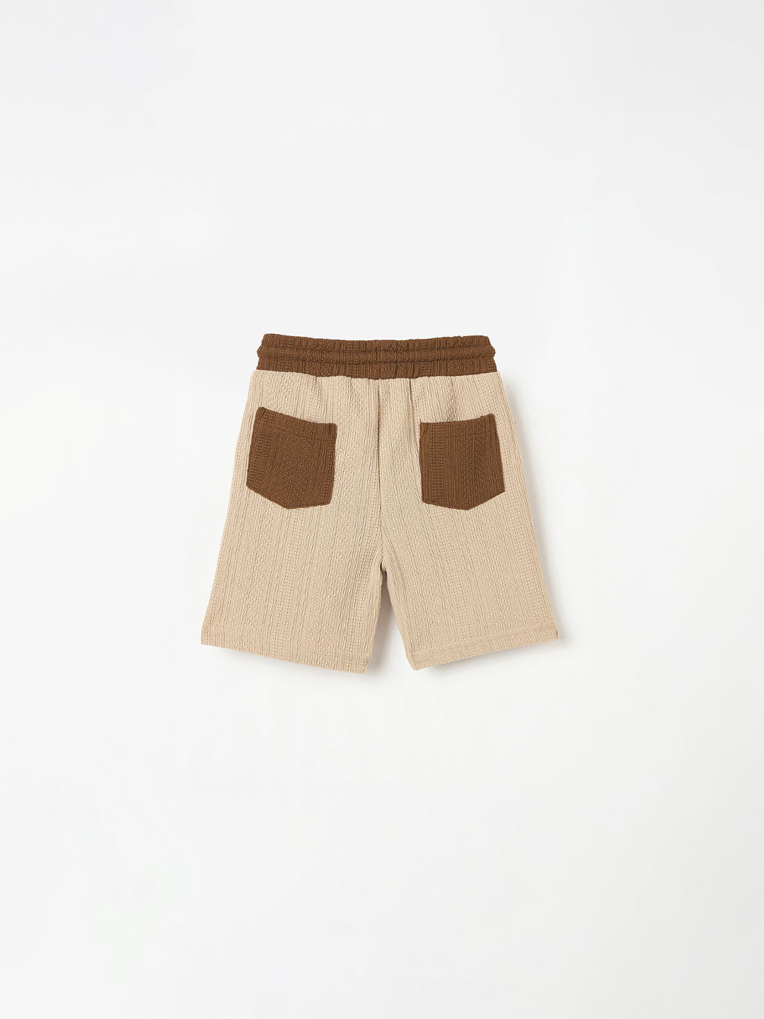 Blue Giraffe Boys Multi Regular Fit Textured Shorts
