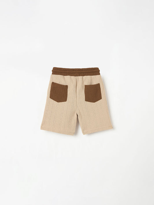 Blue Giraffe Boys Multi Regular Fit Textured Shorts