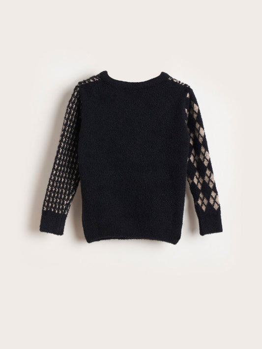 BLUE GIRAFFE Boys Multicolored Cotton Embroidered Crew Neck Sweater