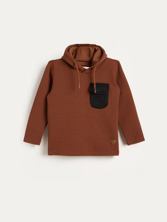 Blue Giraffe Boys Brown Solid Hoodie