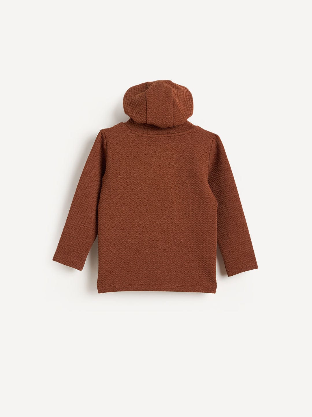 Blue Giraffe Boys Brown Solid Hoodie