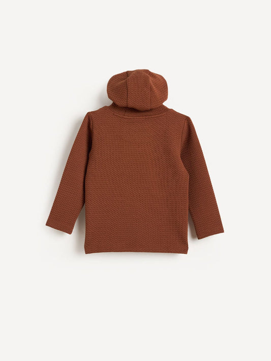 Blue Giraffe Boys Brown Solid Hoodie