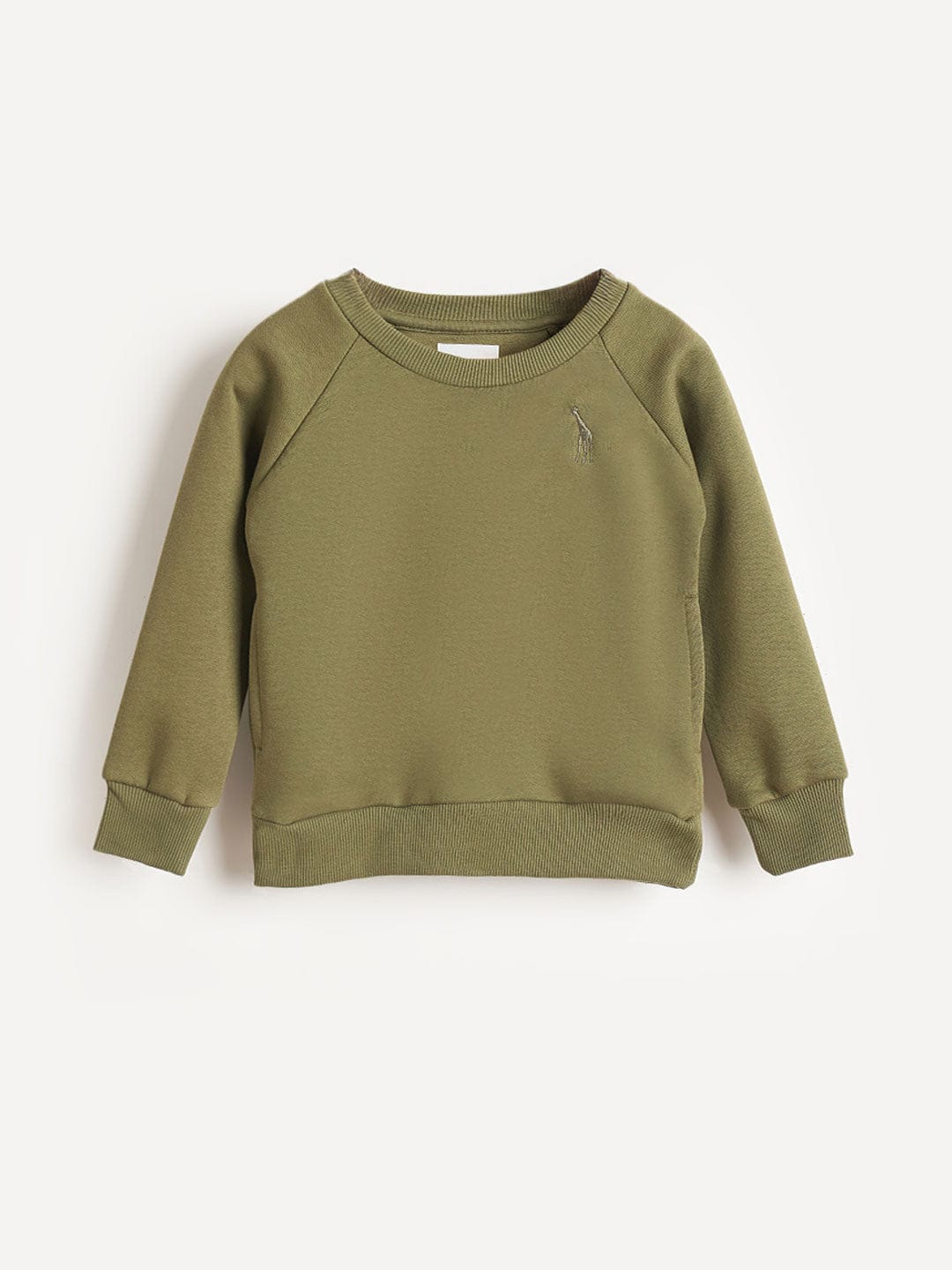 Blue Giraffe Boys Green Solid Round Neck Sweatshirt