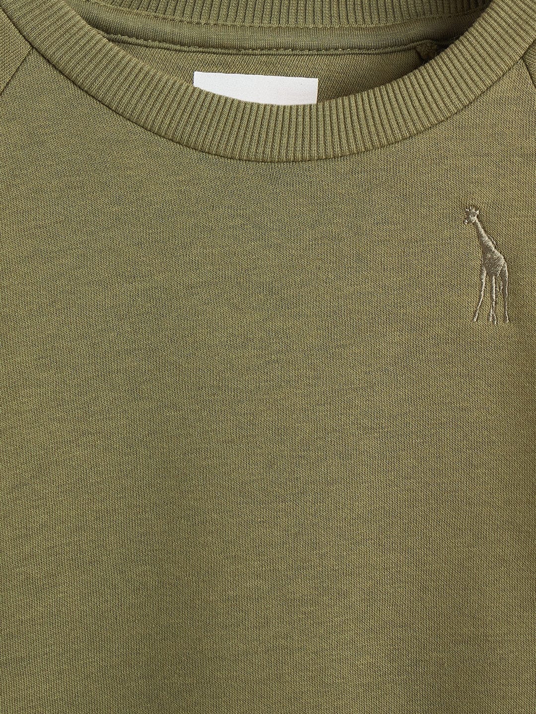 Blue Giraffe Boys Green Solid Round Neck Sweatshirt