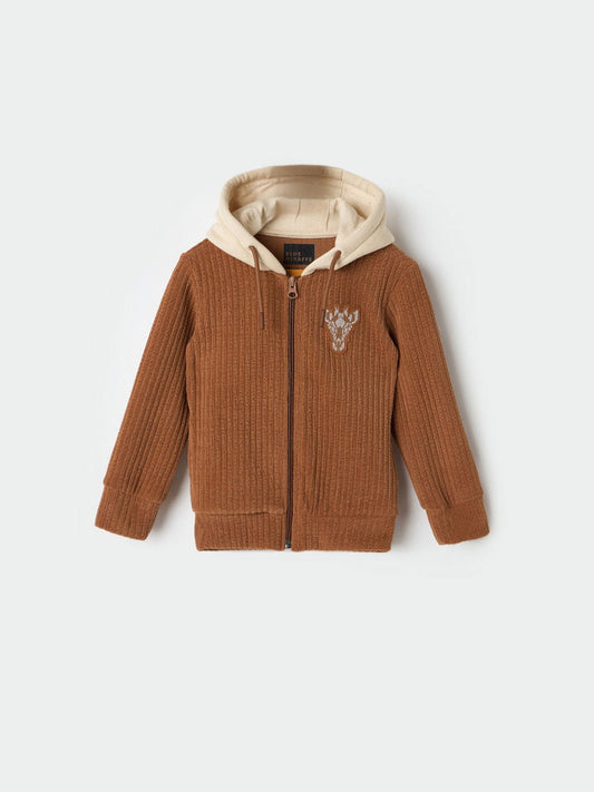 BLUE GIRAFFE Boys Brown Solid Hooded Sweatshirt