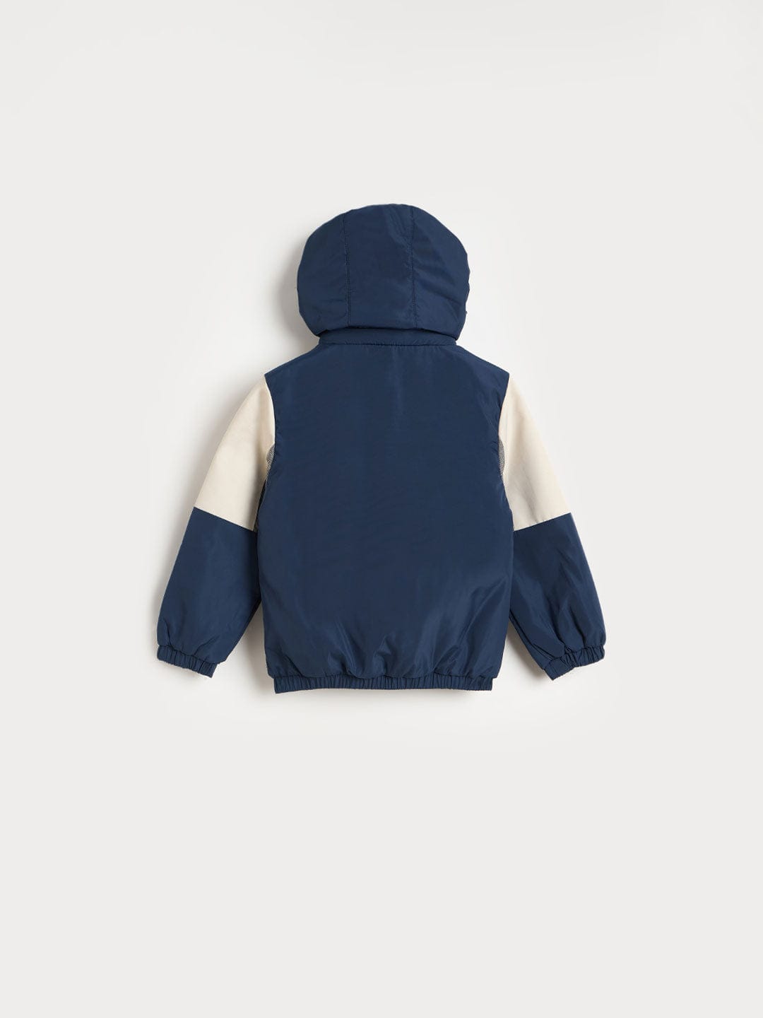 Blue Giraffe Boys Multicolor Solid Crew Neck Hoodie