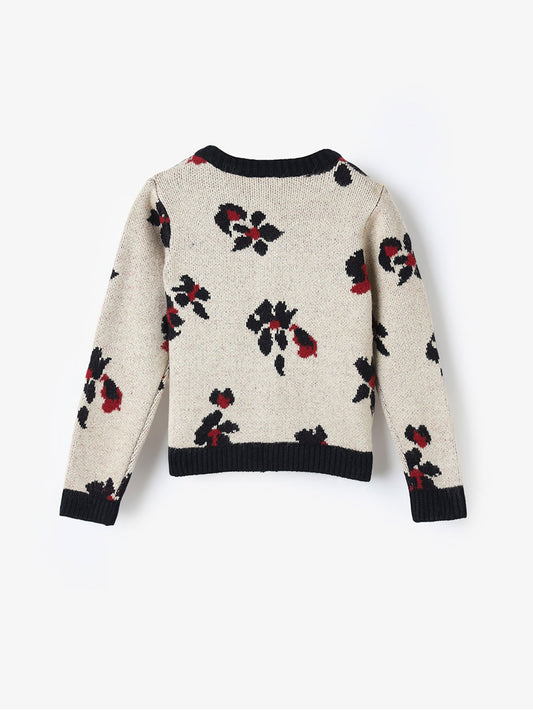 Blue Giraffe Girls Multi Solid Crew Neck Sweater