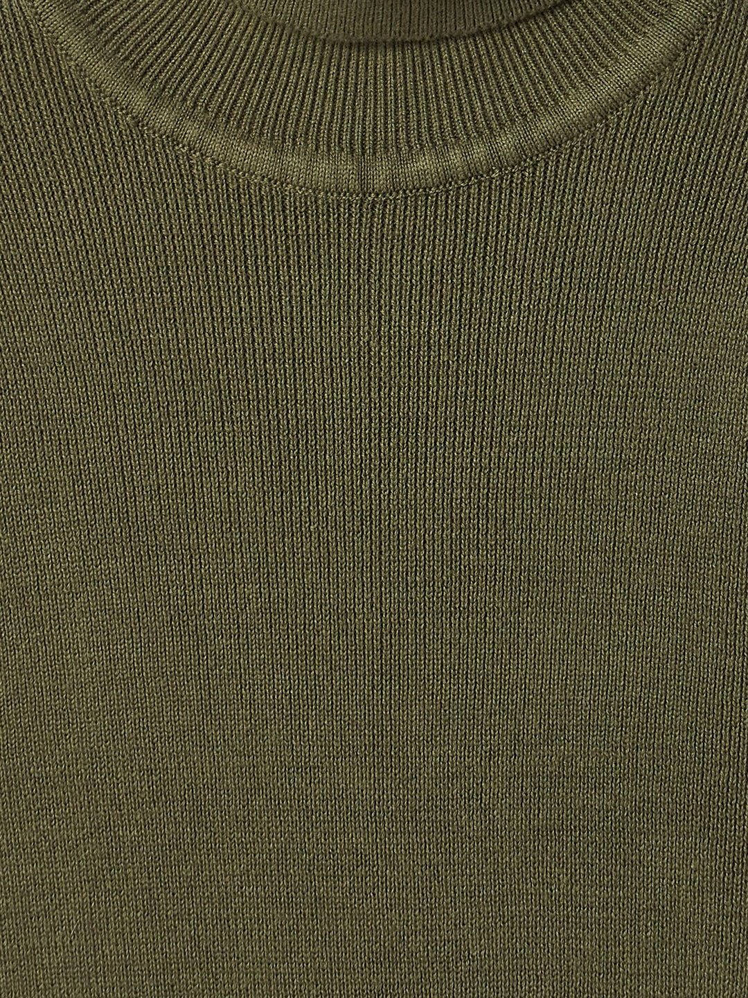 Elle Kids Green Solid Turtle Neck Sweater