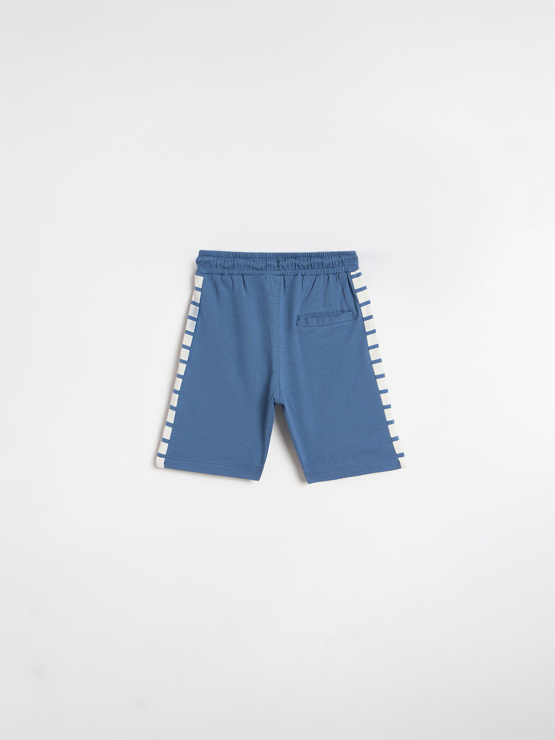 Blue Giraffe Boys Blue Striped Regular Fit Pure Cotton Shorts