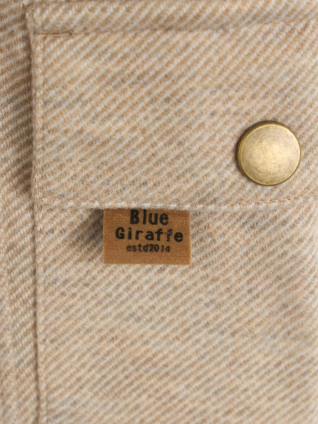 Blue Giraffe Boys Beige Solid Regular Fit Jogger