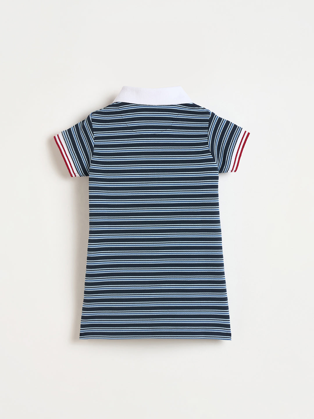 Blue Giraffe Blue Striped Stretchable Straight Fit Dress