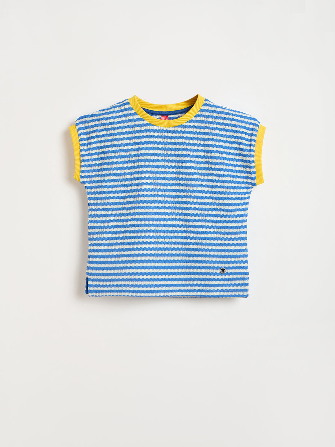 Blue Giraffe Girls Blue Striped Regular Fit T-Shirt