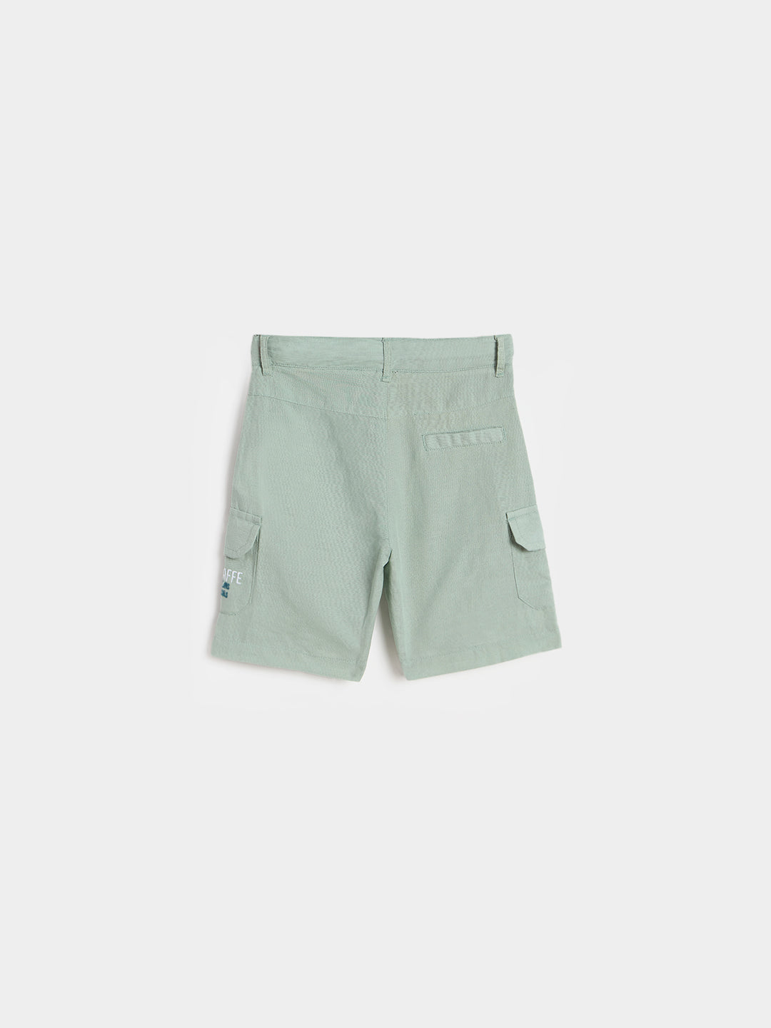 Blue Giraffe Boys Green Solid Regular Fit Shorts