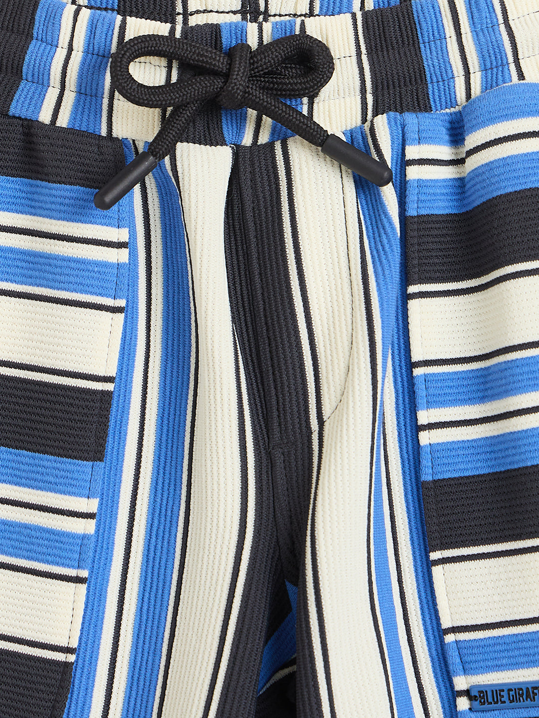 Blue Giraffe Boys Multicolor Striped Regular Fit Shorts