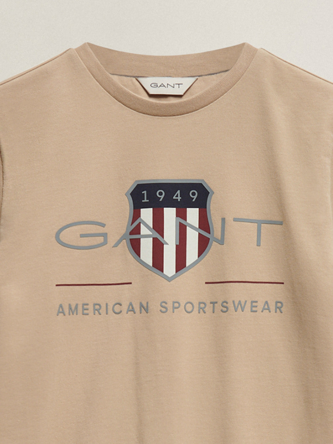 Gant Boys Brown Printed Regular Fit T-Shirt
